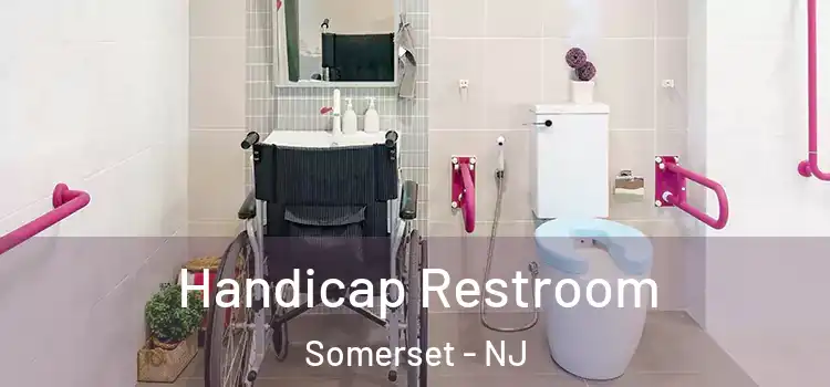 Handicap Restroom Somerset - NJ