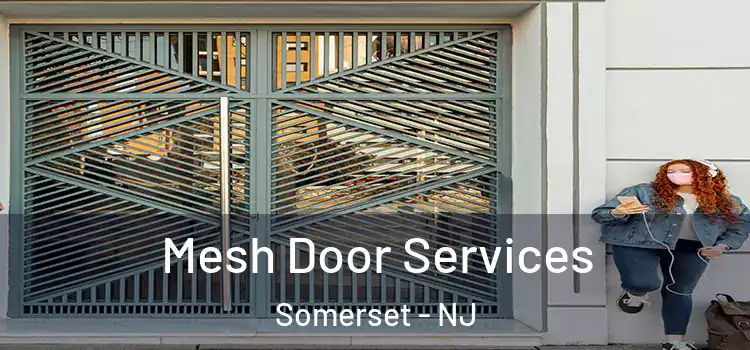 Mesh Door Services Somerset - NJ